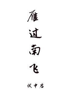 雁過南飛