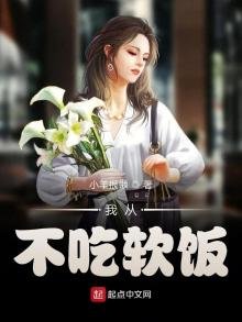 我从不吃软饭