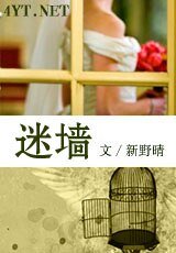 迷牆