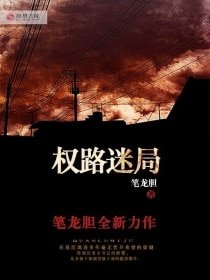 官場局中局/權路迷局