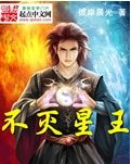 不滅星王