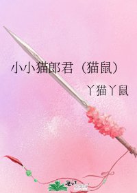 小小貓郎君（貓鼠）