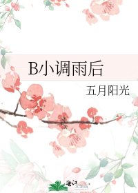 B小调雨后