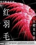 残雪断夜系列之红羽毛